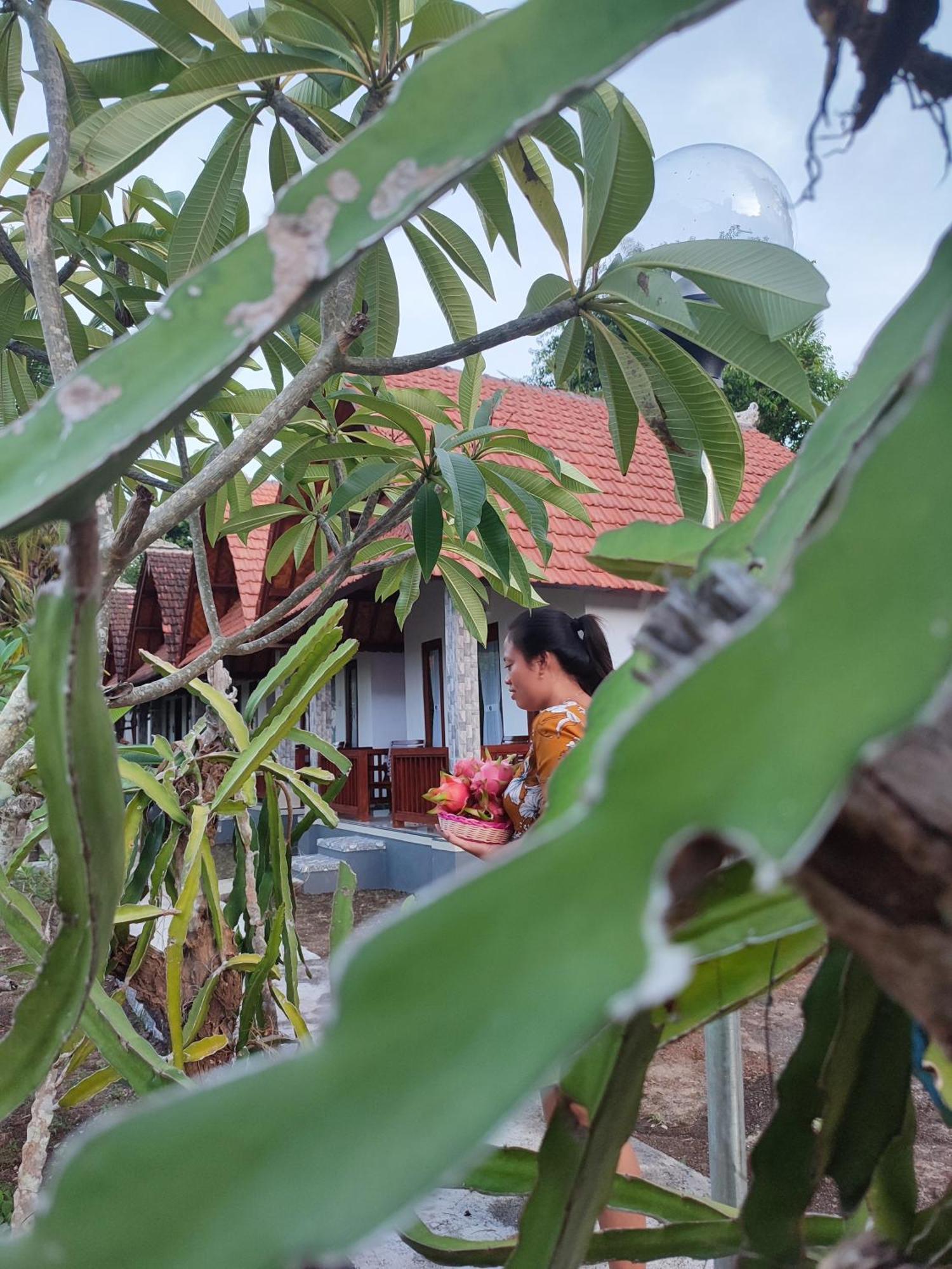 Santhi Guna Bungalow Toyapakeh ภายนอก รูปภาพ
